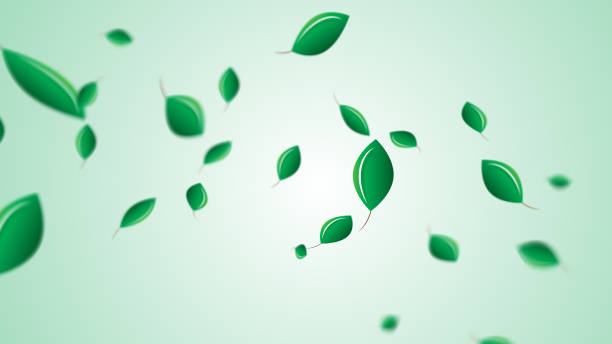 istock Green Floating Leaves Flying Leaves Green Leaf Dancing, Air Purifier Atmosphere Simple Main Picture 1453520301
