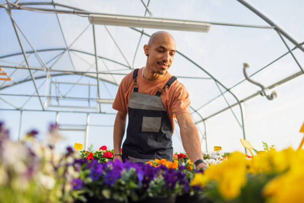 istock Mature Man Caring For Potted Flowers 1453524930