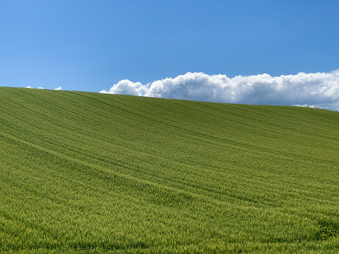 緑豊かな夏の丘と空