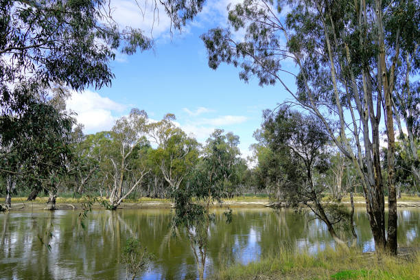 istock Hay, NSW, Australia 1453536493