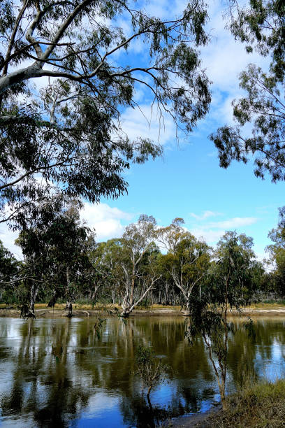 istock Hay, NSW, Australia 1453536546