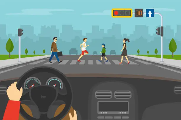 Vector illustration of Driver is waiting on red light while group of people crossing road on crosswalk with traffic lights.
