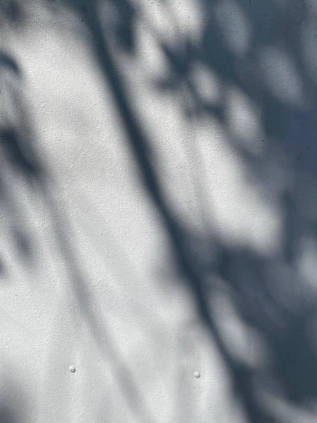 istock leaves shadow on concrete wall background 1453563560