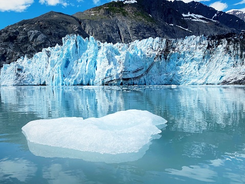 A piece of floating glacier ice with Columbia Glacier in the background