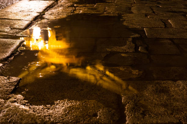 istock Old cranes in Wurzburg mirror themselves in a puddle 1453570448