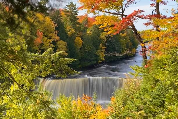 istock Mesmerizing Tahquamenon Falls waterfall in Michigan captured through autumn foliage, fall colors 1453571705