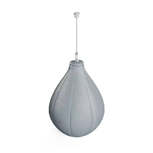 A 3D illustration of a gray speed bag isolated on a white background