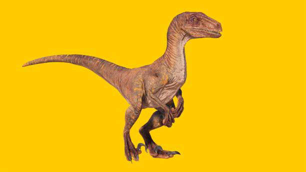 istock Velociraptor roaring dinosaur isolated on a yellow blank background 1453575050