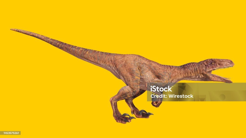 노란색 빈 배경에 격리된 포효하는 벨로시랩터 공룡 0명에 대한 스톡 사진 및 기타 이미지 - 0명, 공란, 공룡 - Istock