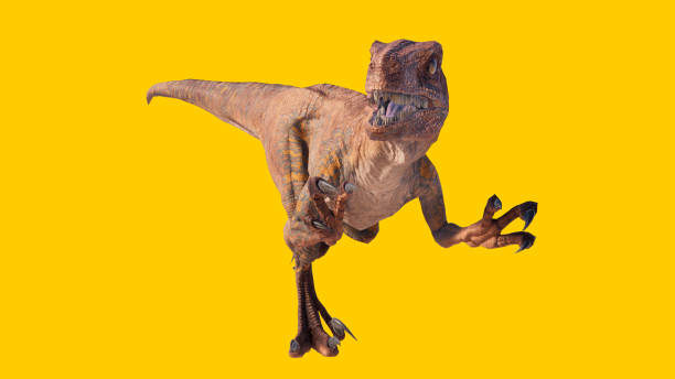 istock 3D rendering of a roaring Velociraptor dinosaur isolated on a yellow background 1453576326