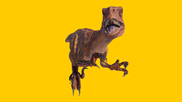 istock 3D rendering of a roaring Velociraptor dinosaur isolated on a yellow background 1453576445