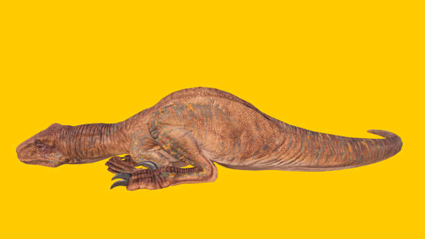 istock Toy velociraptor dinosaur sleeping on a yellow background 1453576497