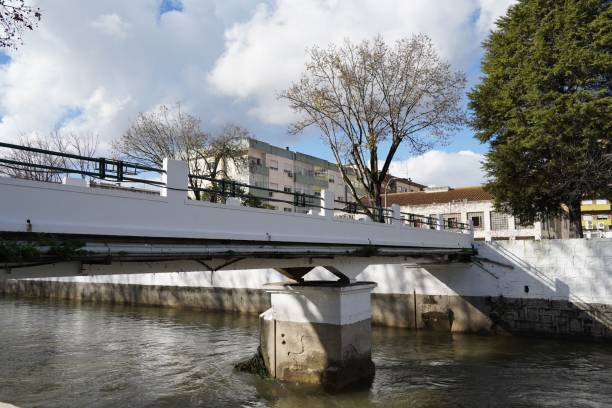 istock Low-angle view of a beautiful bridge above the lake 1453577114
