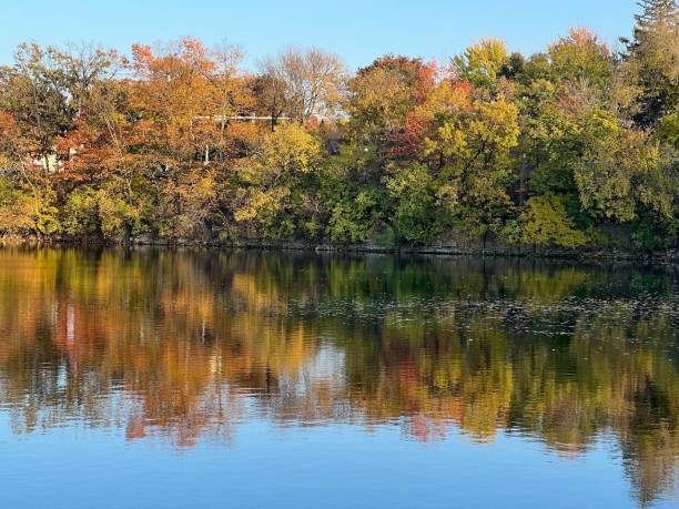 istock River with crystal clear water reflecting autumn trees in the forest 1453577490