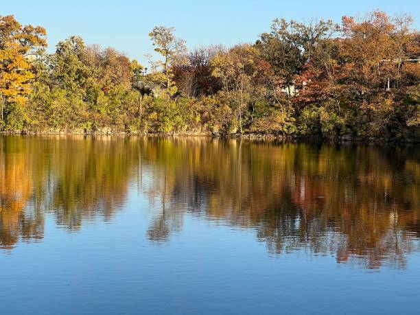 istock River with crystal clear water reflecting autumn trees in the forest 1453577879