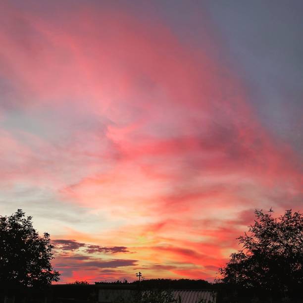 istock Sunset red scene sky over silhouette trees, perfect for background 1453578164