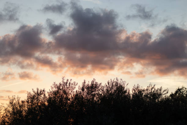 istock View of the sunset sky and clouds 1453578866