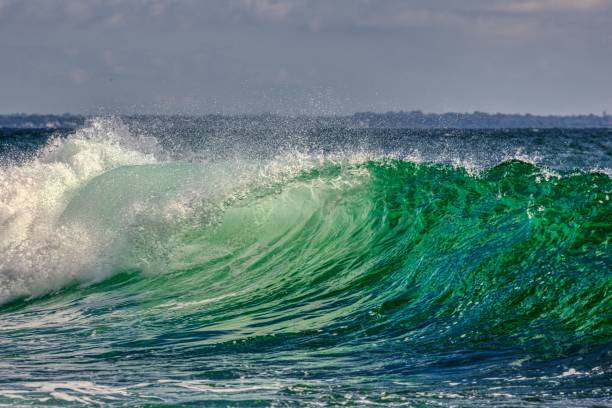 istock White foamy splashing waves on the beach 1453579111