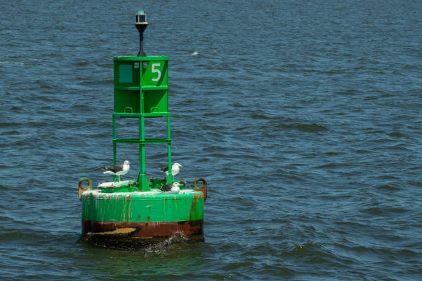 istock Green buoy in the sea with seagulls sitting on it 1453579984