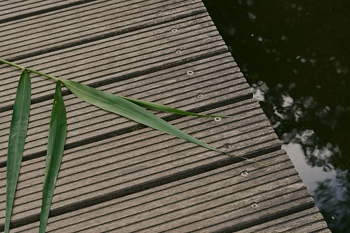 High angle shot of a wooden dock over a lake