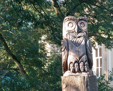 A culture of an owl at the park