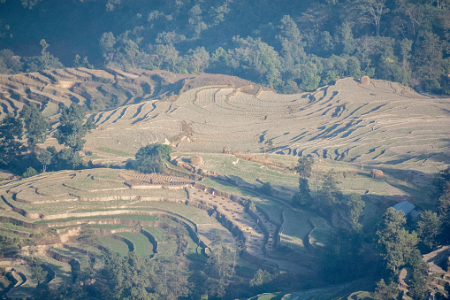 Nepal's terraced cropland in winter Nepal's terraced cropland in winter Farmers are growing wheat as it usually does not require irrigation.