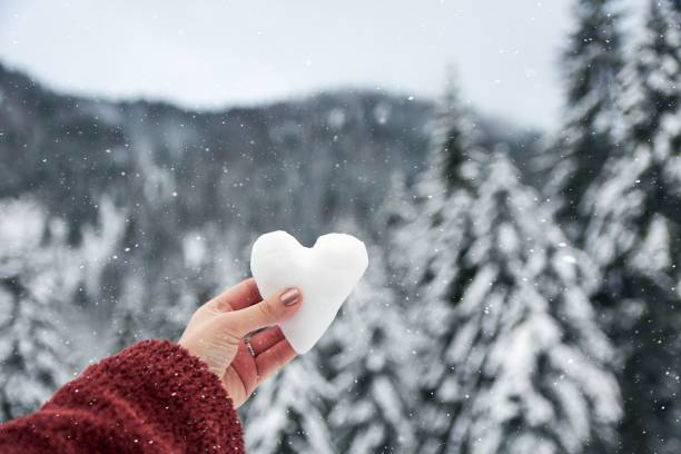 istock Woman's hand holding a snowball shaped like a heart with light snow falling over thick trees 1453593444