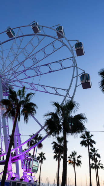 istock View of giant Ferris wheel at dusk 1453594140