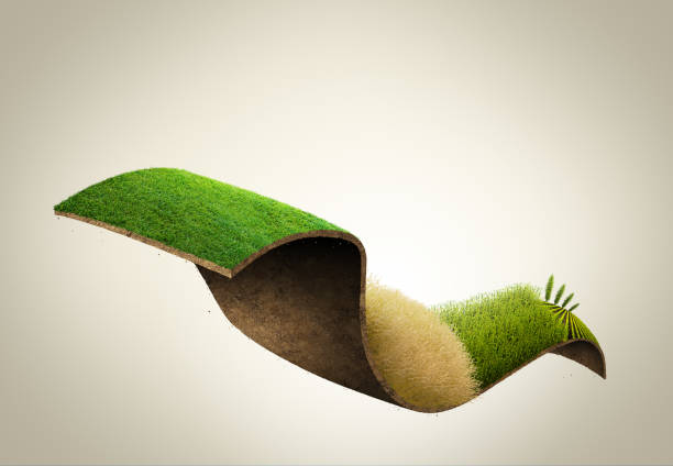 istock 3d illustration of Bending road and highway isolated ads. online farming advertisement. creative farming concept. wheat field in the glare of light of the sun. 1453597708