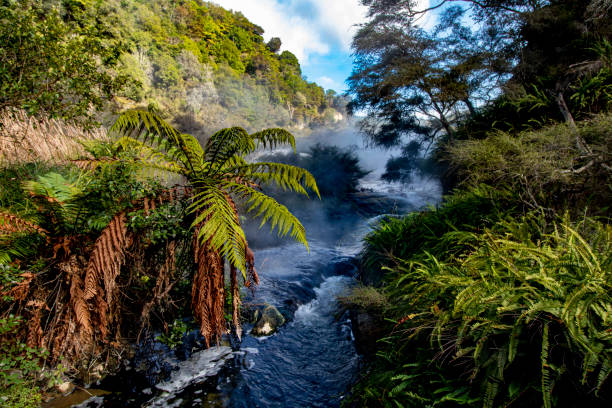 istock Volcanic Valley lookout through the forrest 1453601504