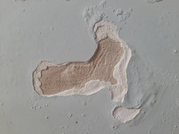พื้นหลังของกําแพงอิฐเก่าที่มีเนื้อปูนปลาสเตอร์ pealing - horsehair plaster ภาพสต็อก ภาพถ่ายและรูปภาพปลอดค่าลิขสิทธิ์