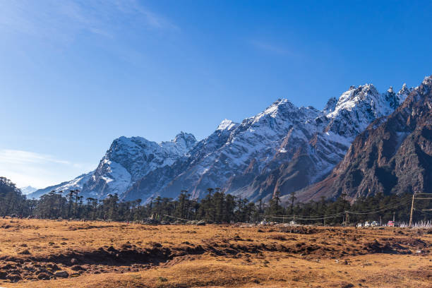 istock Mountain valley grassland surrounded by snow capped peaks. 1453605974