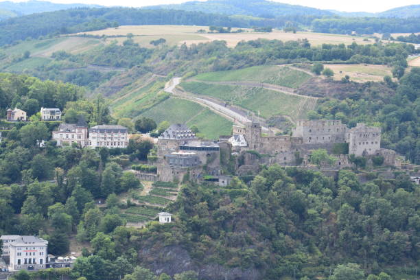 fortaleza rheinfels - rheinfels fotografías e imágenes de stock