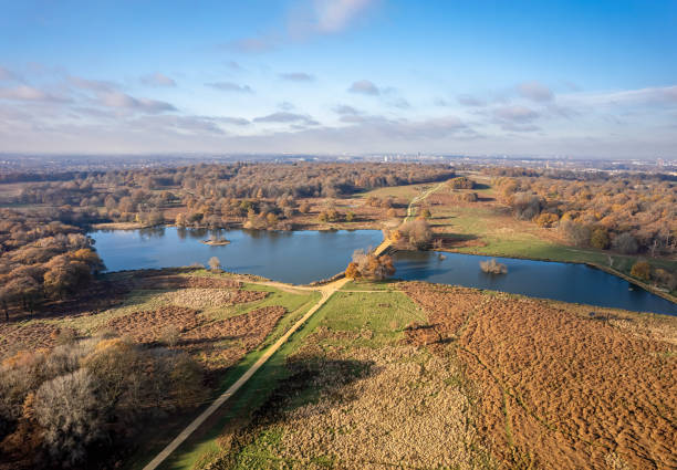 Aerial view of Richmond Park in autumn with city of London in the background. Richmond Park, in the London Borough of Richmond upon Thames, is the largest of London's Royal Parks. richmond park stock pictures, royalty-free photos & images