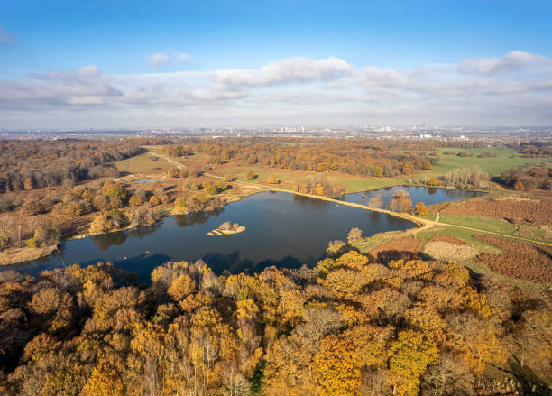 Aerial view of Richmond Park in autumn with city of London in the background. Richmond Park, in the London Borough of Richmond upon Thames, is the largest of London's Royal Parks. richmond park stock pictures, royalty-free photos & images