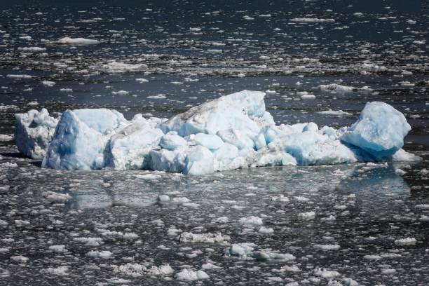 istock Floating ice in the Enchantement Bay, Alaska 1453610212