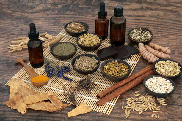 istock Nervine Food Collection for Healing Nervous System 1453611734