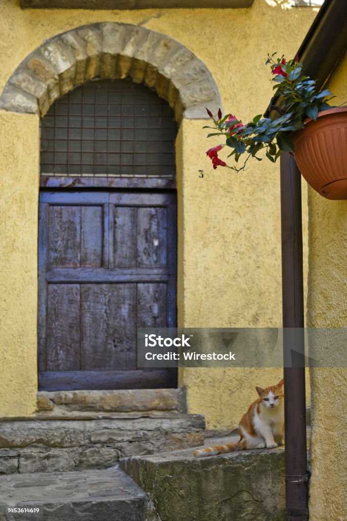 Door of an old  house in Castelmezzano, a village in the Basilicata region of Italy. The door of an old  house in Castelmezzano, a village in the Basilicata region of Italy. Alley Stock Photo