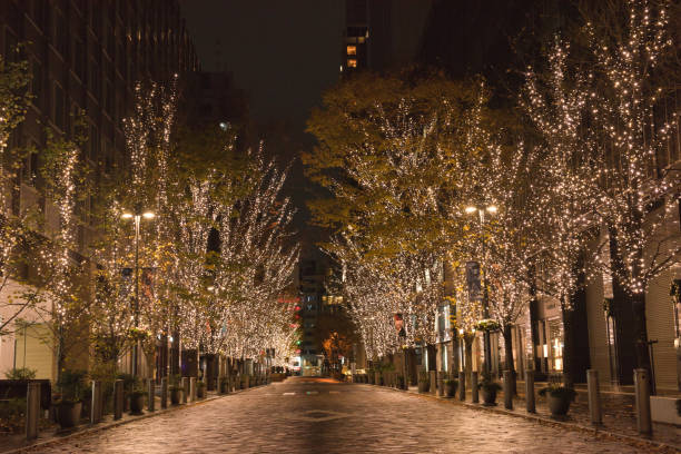 istock Illumination Light Up of Marunouchi 1453621948
