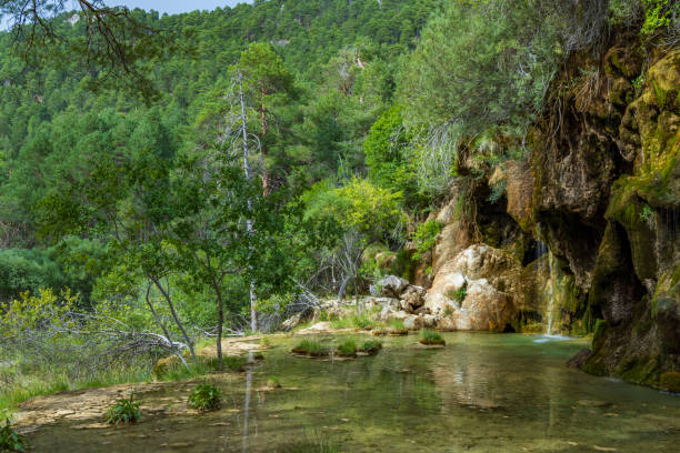istock The spring of river Cuervo (Nacimiento del Rio Cuervo) in Cuenca, Castilla La Mancha, Spain 1453623526