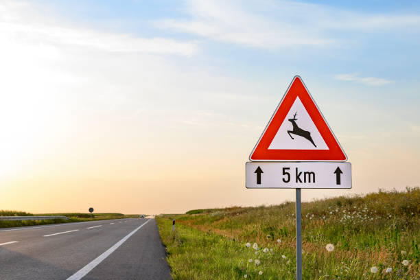 istock Deer sign on the road 1453627159