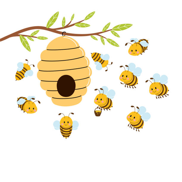 Vector illustration of cute bee Honey hive with cute bees hanging on a branch. Vector illustration isolated on white background. beehive stock illustrations