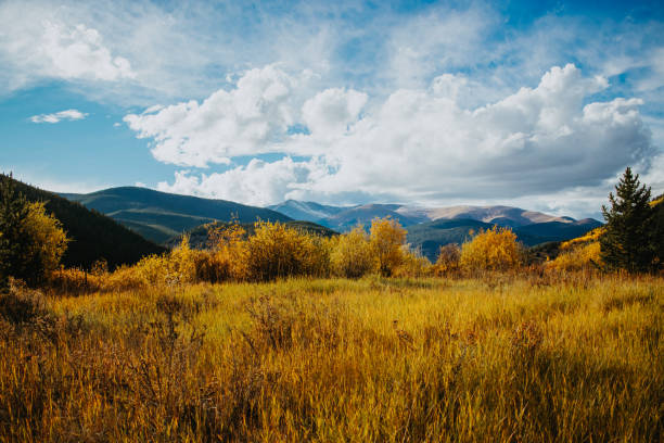 istock Golden fields in Colorado with mountains in the background 1453640852