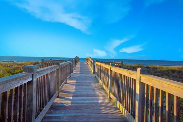 istock Boardwalk to the beach-Myrtle Beach, South Carolina 1453642879