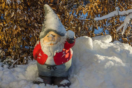 Close up view of figure of gnome standing in snow covered garden on frosty winter day. Sweden.