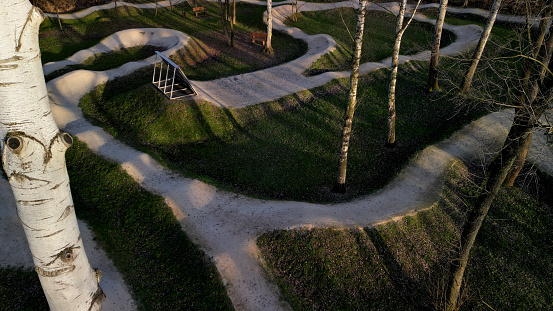 pumptrack, forest in which there is a track for bicycles trail tilted bends one after the other dug in the ground into perfect shapes mountain bikes even for children, glade, sun, shadows, racing  new, lawn, wavy, slope, running, populus alba, tree trunk, top, slope, bicycles, trail, upper view, extension, pump track, floodplain
