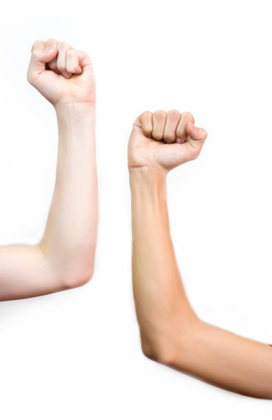 istock Two fists up on a white background, equality for freedom. 1453649294