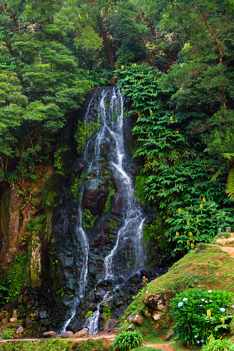 Sao Miguel Island in the Azores. Typical landscape of waterfall in flower garden. Nature as a tourist attraction and travel and vacation destination.