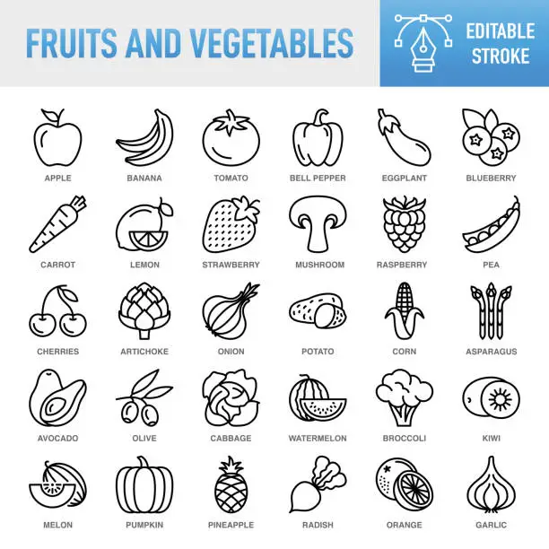 Vector illustration of Fruits and Vegetables - Thin line vector icon set. Pixel perfect. Editable stroke. For Mobile and Web. The set contains icons: Fruit, Vegetable, Carrot, Food, Tomato, Banana, Apple - Fruit, Orange - Fruit, Watermelon, Melon, Onion, Broccoli, Raw Potato