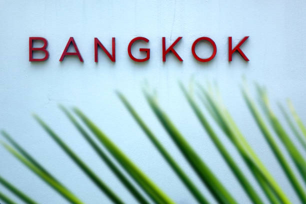 istock Bangkok sign and palm leaf 1453650569